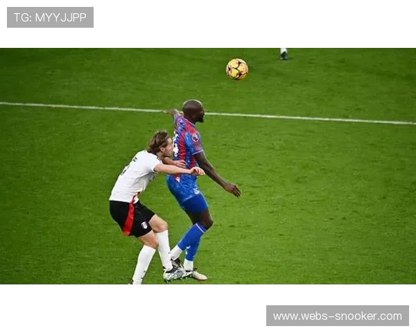 狼队0-2不敌水晶宫,老鹰客场带走胜利 狼队0-2不敌水晶宫,老鹰客场带走胜利